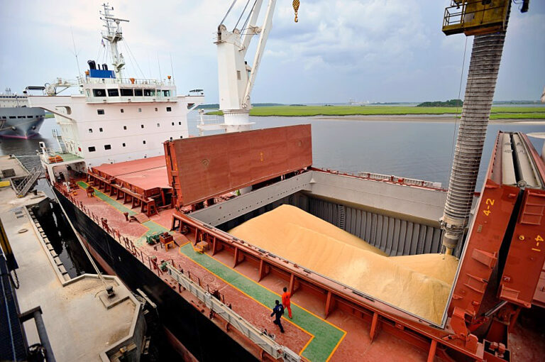 Argentina y su rol como exportador mundial