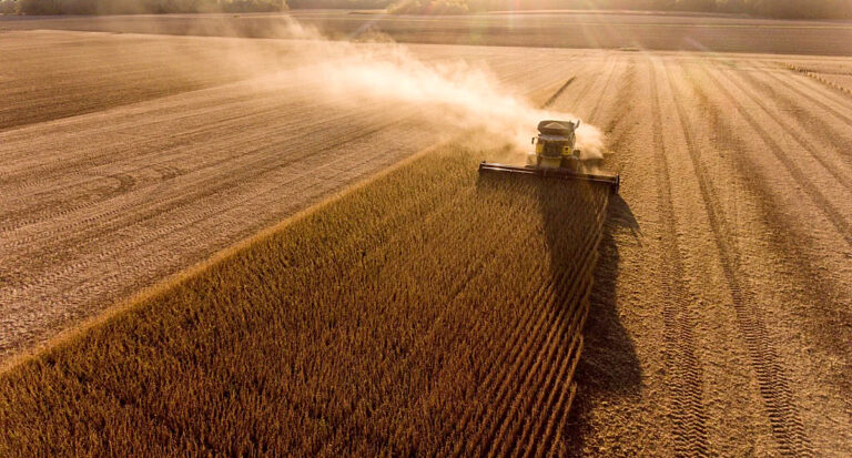 ¿Cuál fue el aporte de la agroindustria en las exportaciones argentinas de 2023?