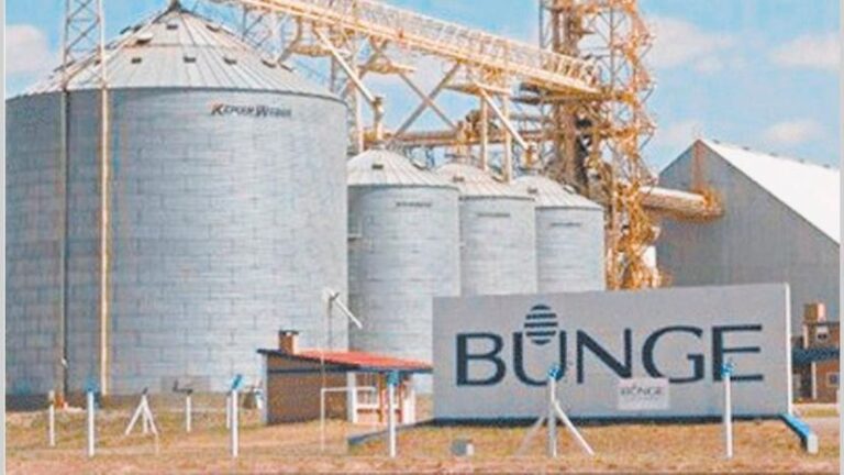 Bunge acordó con Genneia el uso de electricidad renovable en sus plantas de la Argentina