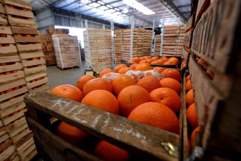 La Federación del Citrus de Entre Ríos pidió “esperar y darle tiempo” al gobierno nacional