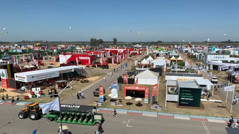 Cómo será el cronograma de actividades de Expoagro 2024 que se realizará en San Nicolás