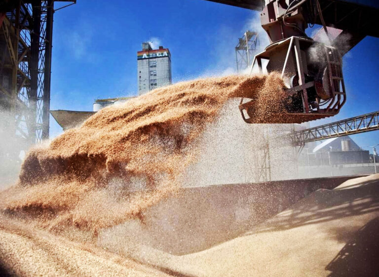 Condiciones de venta en el mercado local de granos ¿Qué cambió en 2023?