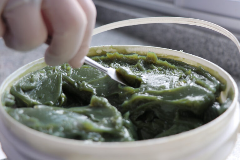 Desarrollo de la UNL: lanzan al mercado grasa lubricante biodegradable fabricada en una planta rosarina