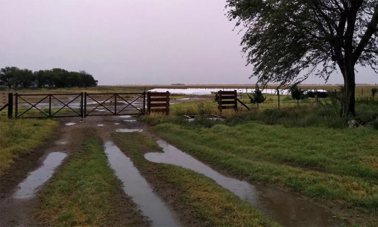 Lluvias homogéneas en la región núcleo, con acumulados que oscilaron entre 45 y 100 milímetros