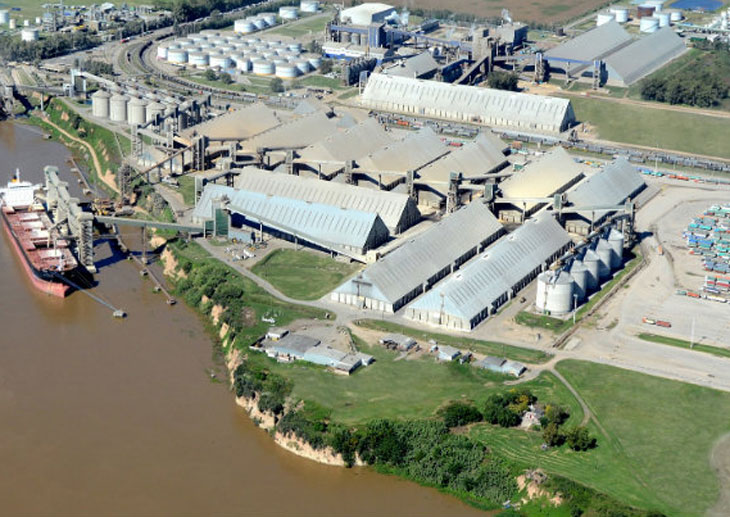 El sector agroindustrial exportó por US$ 3.299 millones en enero, 21,3% más que en igual mes de 2023