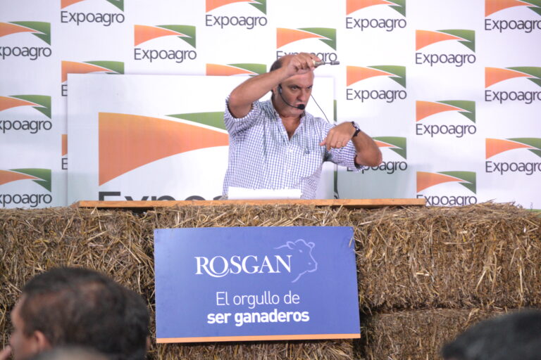 Rosgan en Expoagro volvió a mostrar por qué la ganadería tiene futuro