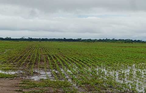 Tras una semana de lluvias, cómo quedó el mapa agrícola de la región núcleo