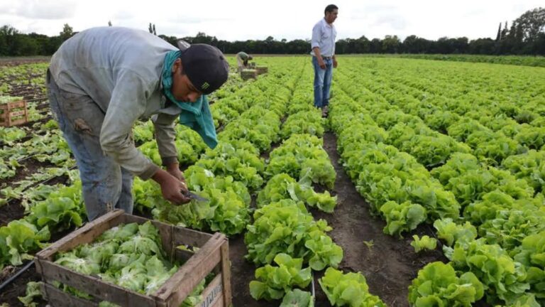 El gobierno aumentó la prestación por desempleo para trabajadores rurales