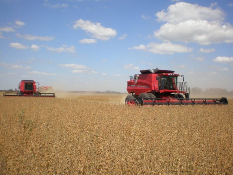 Rechazaron amparo colectivo de la Sociedad Rural contra las retenciones agropecuarias