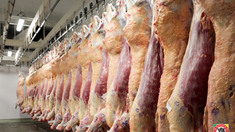 Santa Fe: una provincia clave para la carne argentina