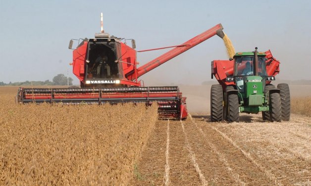 Las lluvias complican la cosecha gruesa, pero abren una gran oportunidad para el trigo 2024/25