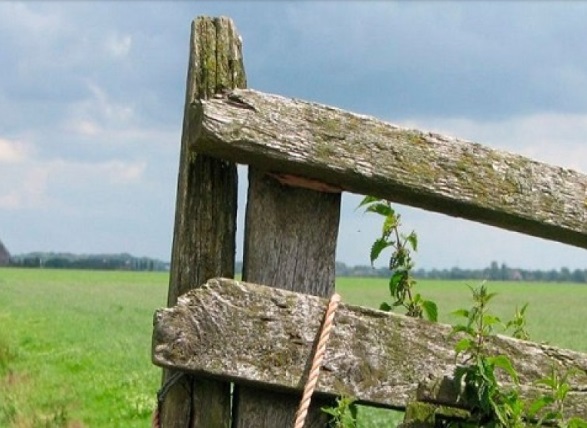 Alivio para el campo: el gobierno bonaerense no actualizará la segunda cuota del Inmobiliario Rural