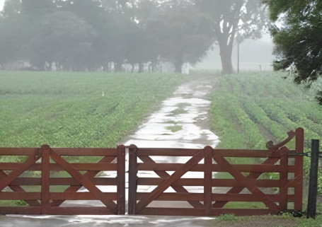 Sin lluvias en la región núcleo: desde la BCR dicen que “si llegan cinco milímetros, vamos a estar festejando”