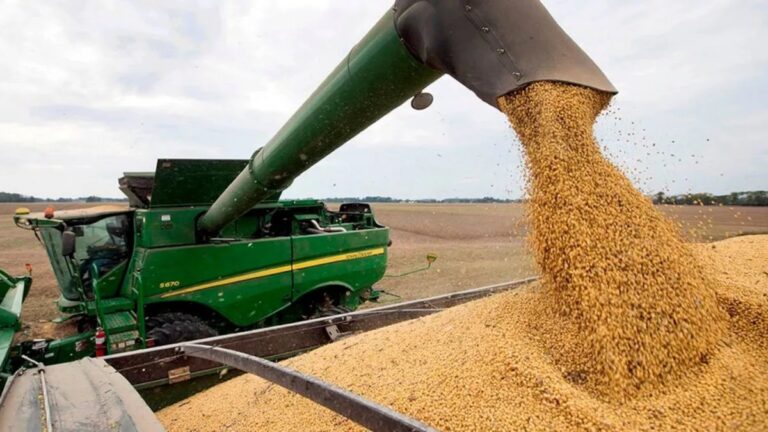 Productores agropecuarios reclaman por la reducción progresiva de las retenciones