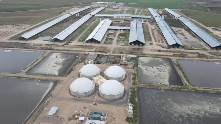 Medida cautelar a favor de empresa agropecuaria que frena el pago de retenciones
