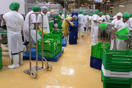 En marzo, la actividad agroindustrial registró un nuevo crecimiento mensual