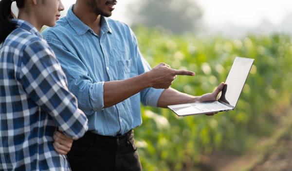 ¿Por qué con la planificación agrícola podemos mejorar la rentabilidad?