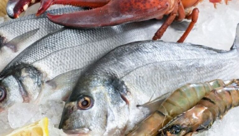 La industria pesquera reclama la suspensión de las retenciones