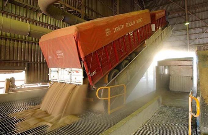 El gobierno espera que se acelere la liquidación de divisas por la cosecha de soja: cómo viene el ingreso de dólares