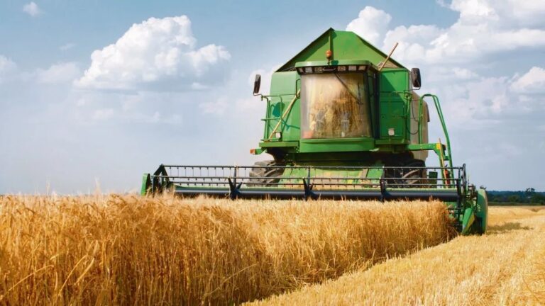 El gobierno derogó una medida de Alberto Fernández que imponía topes a la exportación de granos