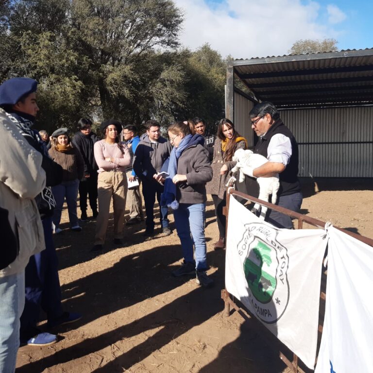 Renatre realizó una capacitación en manejo ovino y bovino para mejorar la producción y el bienestar animal en La Pampa