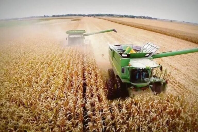 El gobierno eliminó requisitos para la operatoria de la cadena agroindustrial