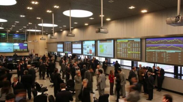 Se desacelera el ritmo de negocios por soja y se espera más dinamismo en el maíz