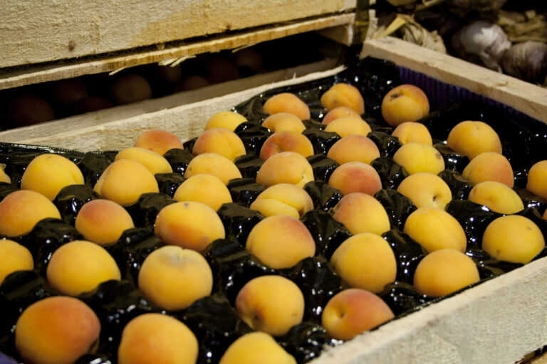 Las exportaciones de economías regionales acumulan un superávit comercial de US$6.464 millones en el último año