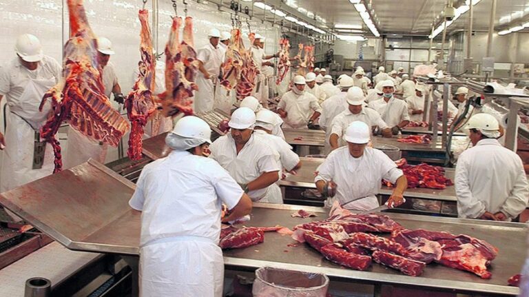 El nivel de consumo de carne vacuna registra una de las mayores caídas de las tres últimas décadas
