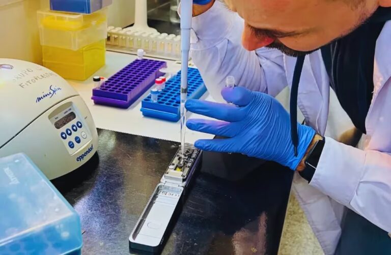 El Inta logró secuenciar el genoma de la plaga que le “comió” más de US$2.000 millones a las exportaciones