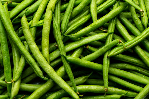 La agroindustria ve como muy positiva la eliminación de los DJVE para productos regionales