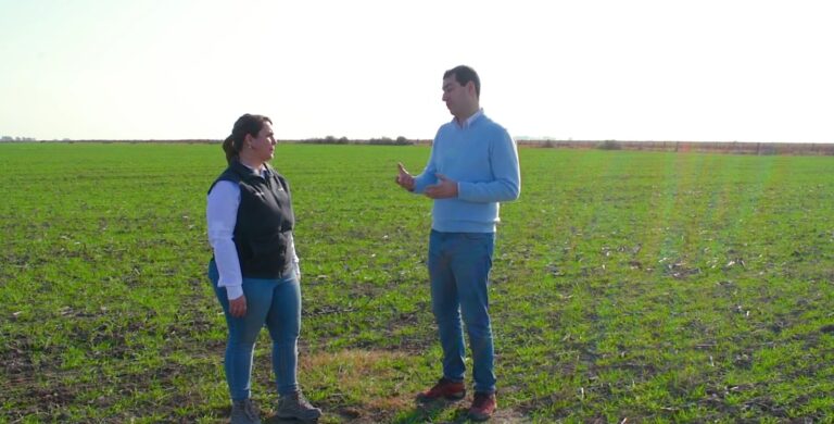 Syngenta lanza su nueva temporada de Cereales de Invierno