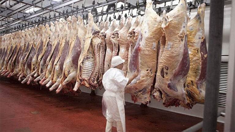 Carnes en 2025: mayor producción, consumo y valor exportado