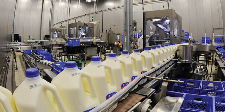 Las exportaciones del complejo lácteo cayeron un 18% en 2023