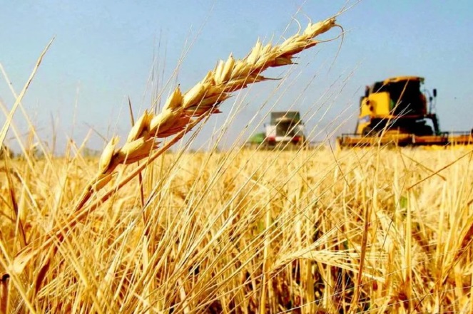 Los precios de los commodities bajaron en octubre y prevén menor demanda