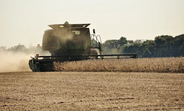 La actividad agroindustrial registró un freno importante en la segunda semana de agosto
