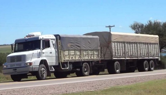 El costo del flete camionero en Argentina está en línea con los principales países competidores en la exportación de granos