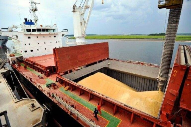 Las exportaciones agrícolas del 2025 dejarán tantos dólares como las de este año