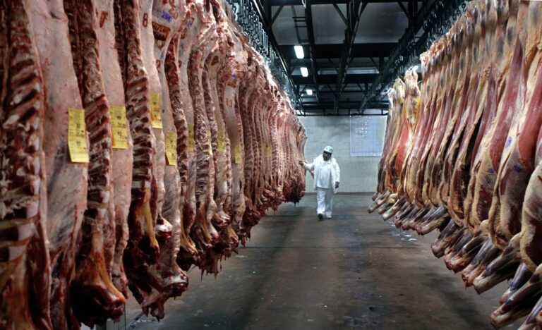 El consumo de carne vacuna se derrumba y el panorama es poco alentador