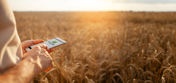 ¿Cómo dar el primer paso a la digitalización agrícola?
