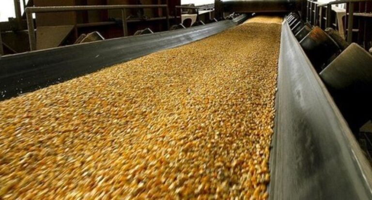 Los productores agrícolas de Córdoba tendrán rentabilidad negativa