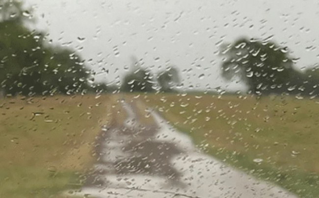 Maíz 2024/25: ya no se habla de aumentar superficie, sino de contener el recorte