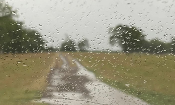 Sin lluvias en septiembre, el 30% del trigo está regular a malo