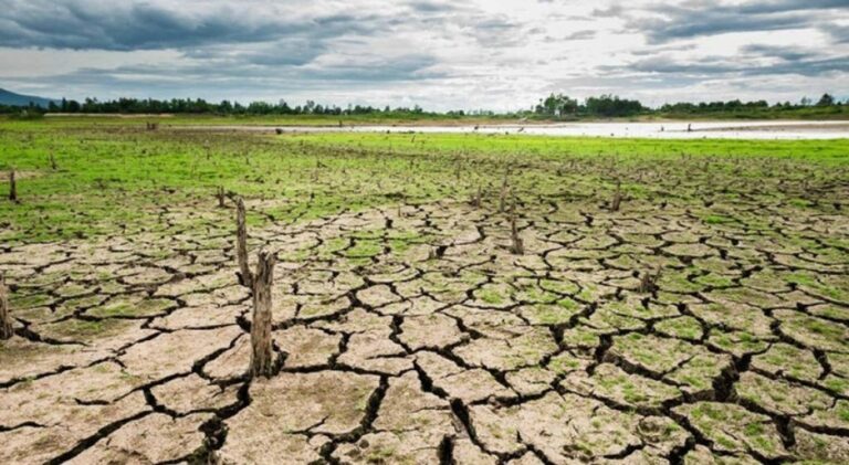 La Sociedad Rural de Rosario pide que se declare la “emergencia por la sequía”