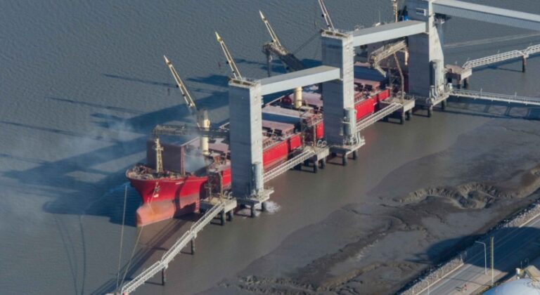 Exportaciones: Agricultura creó el Directorio de Esquemas de Diferenciación para la Agroindustria