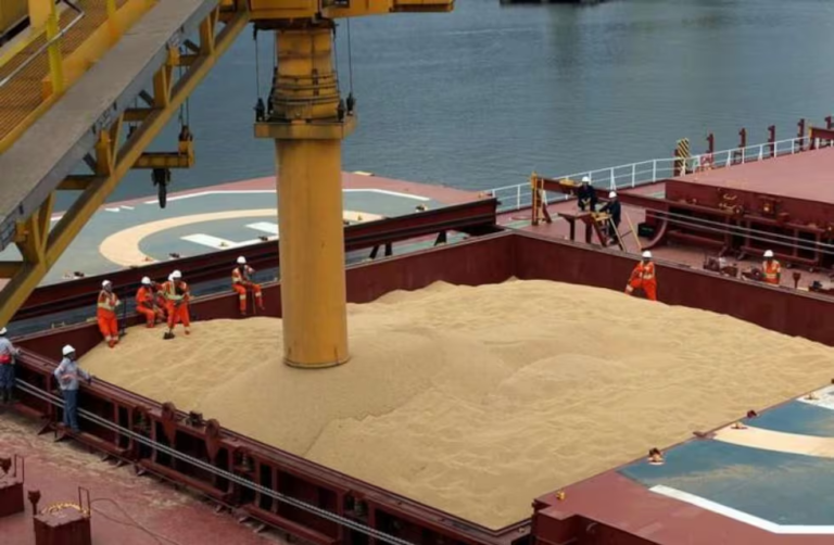 Fuerte recuperación de las exportaciones de harina de soja