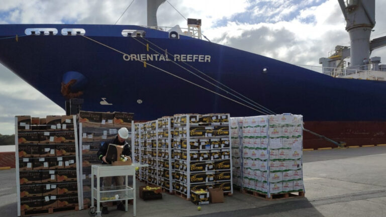 La exportación de peras y manzanas a México creció un 32% durante la temporada 2024