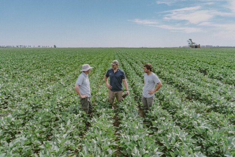 Stine ofrece genética y tecnología, variables aliadas para afrontar una campaña de soja desafiante