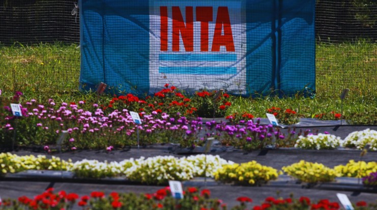Floricultura: 20 años de investigación y aportes al sector productivo