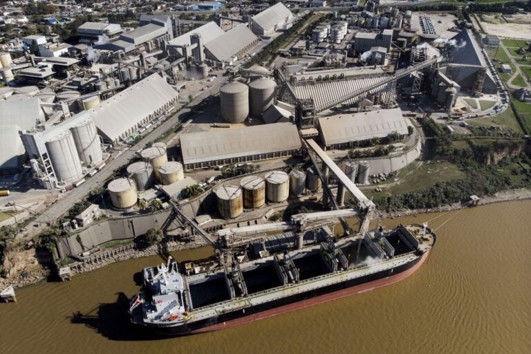 Las exportaciones agroindustriales crecieron un 51% en volumen en lo que va del año